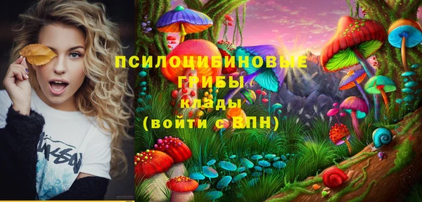 амфетамин Алексин